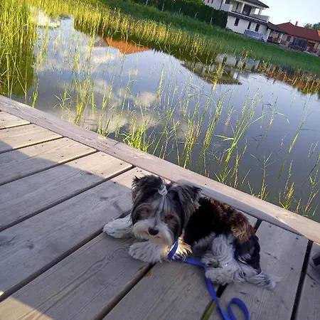 Appartement Ap. Near Thermal Bath *